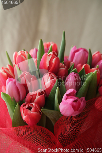 Image of bouquet  of tulips 