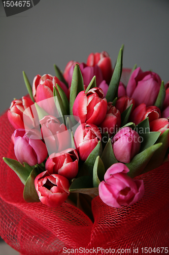 Image of bouquet  of tulips 