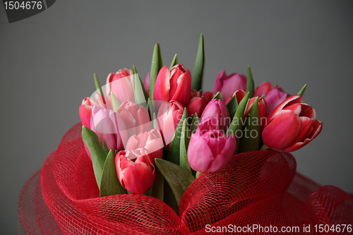 Image of bouquet  of tulips 