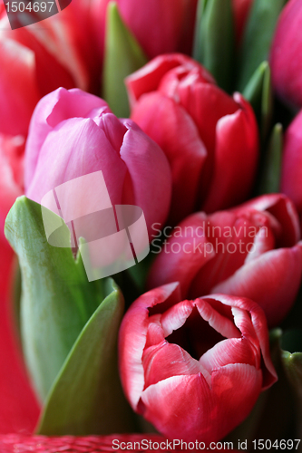 Image of bouquet  of tulips 
