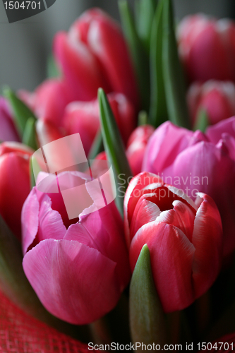 Image of bouquet  of tulips 