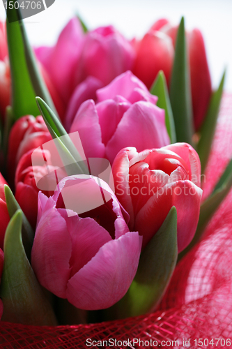 Image of bouquet  of tulips 