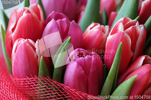 Image of bouquet  of tulips 