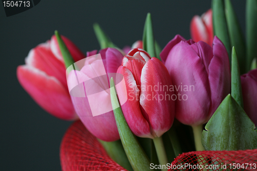 Image of bouquet  of tulips 