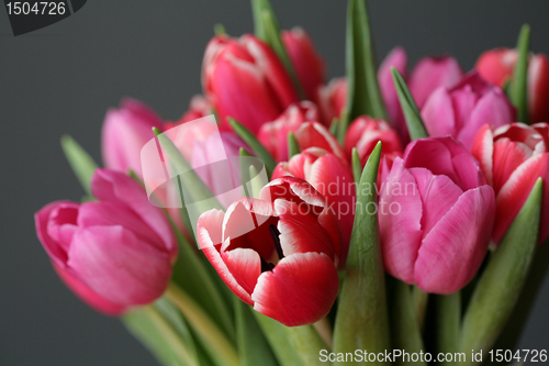 Image of bouquet  of tulips 