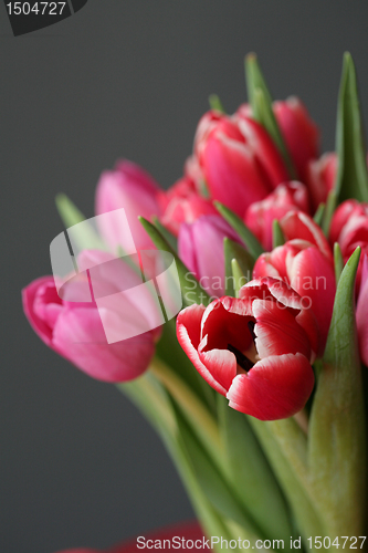 Image of bouquet  of tulips 