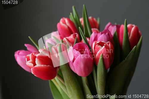 Image of bouquet  of tulips 