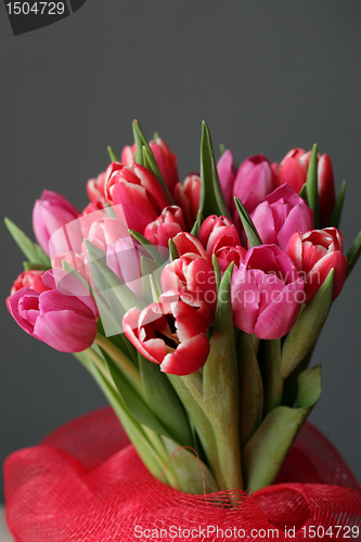 Image of bouquet  of tulips 