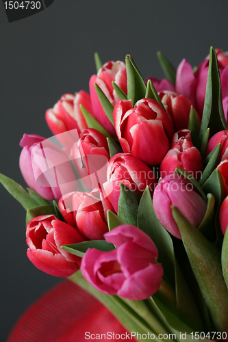 Image of bouquet  of tulips 