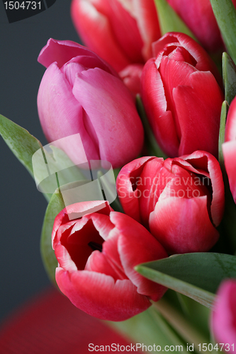 Image of bouquet  of tulips 