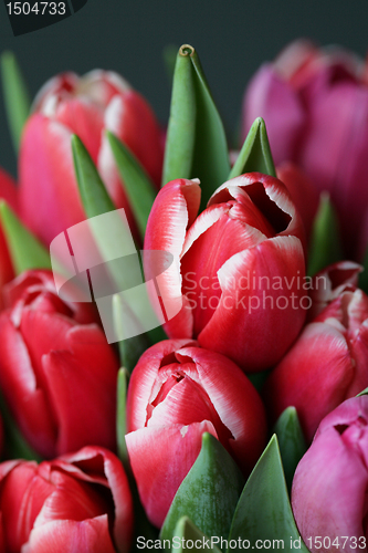 Image of bouquet  of tulips 