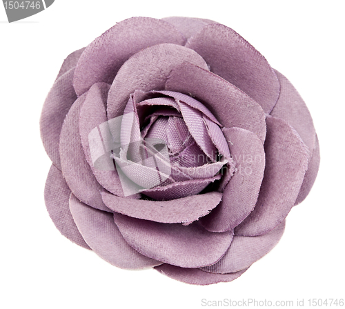 Image of purple flower from tissue