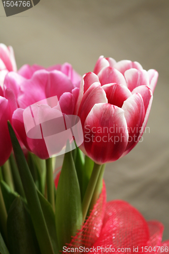 Image of bouquet  of tulips 