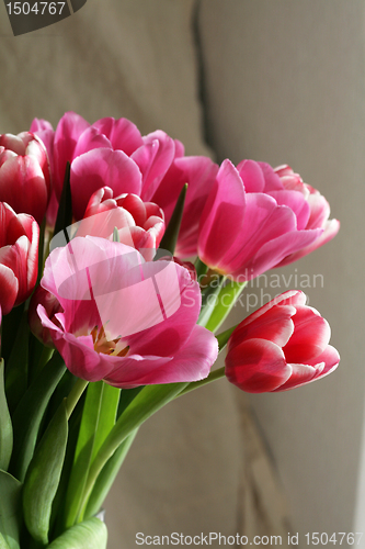 Image of bouquet  of tulips 