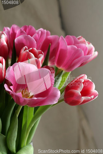 Image of bouquet  of tulips 