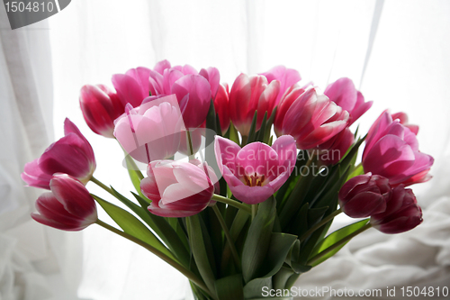 Image of bouquet  of tulips 