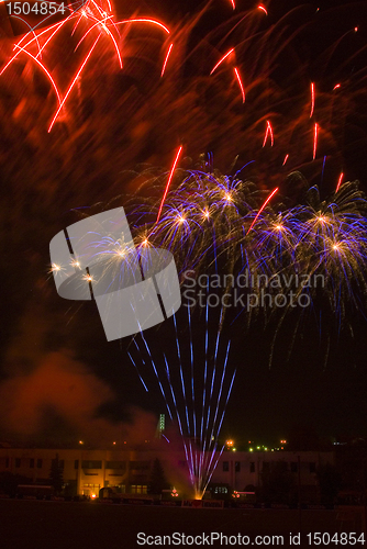 Image of Fireworks flower