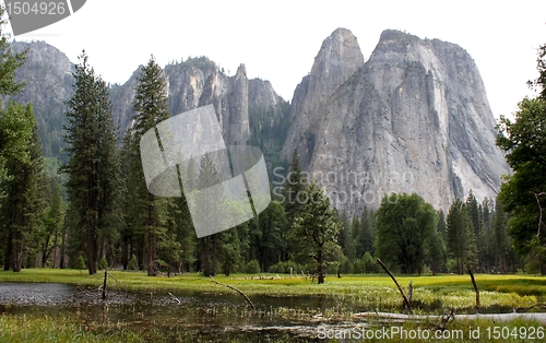 Image of Yosemite Meadow