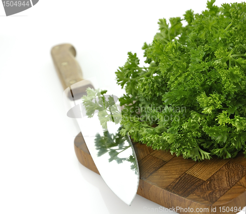 Image of Fresh Parsley