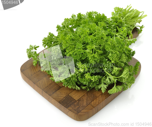 Image of Fresh Parsley