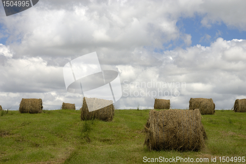 Image of Hay rolls