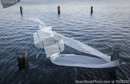 Image of Blowing in the wind