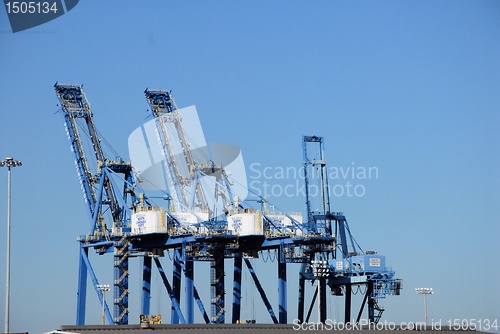 Image of Three cranes