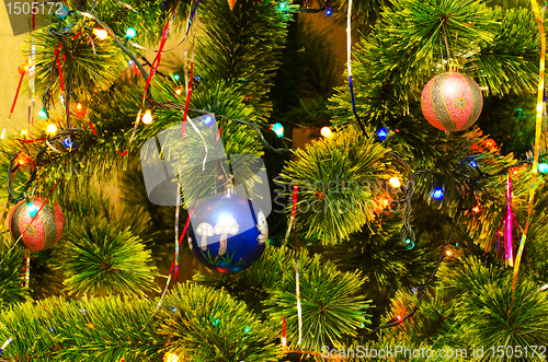 Image of Christmas fur-tree