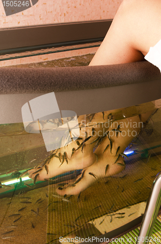 Image of Fish spa pedicure
