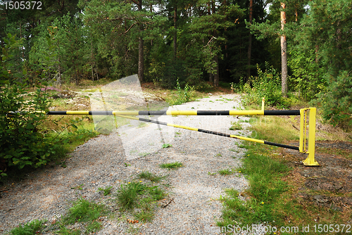 Image of forest road closed to protect wildlife  