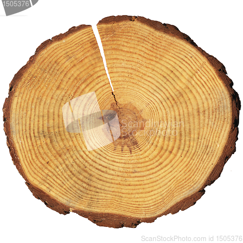 Image of wooden circle with a split cut of the log