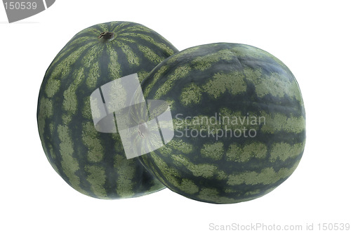 Image of Melons