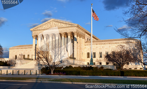 Image of Winter trees frame Supreme court