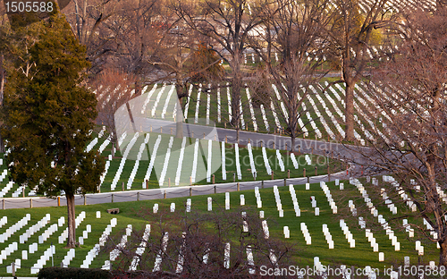 Image of Roadway in Arlington Cemetery