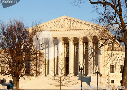 Image of Winter trees frame Supreme court