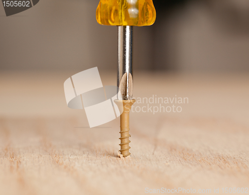 Image of Screw being driven into wood