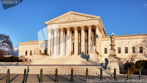 Image of Winter trees frame Supreme court