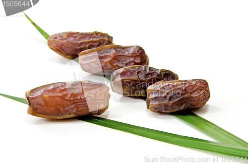 Image of Dates Fruit isolated on white Background