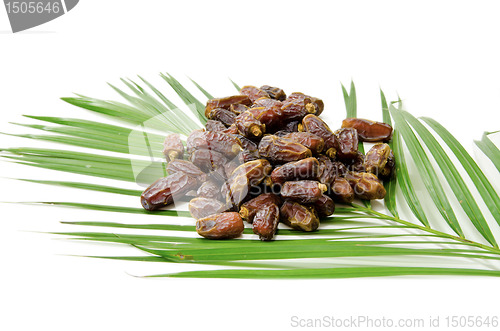 Image of Dates Fruit isolated on white Background