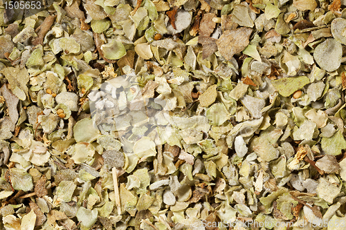 Image of marjoram seasoning at life-size