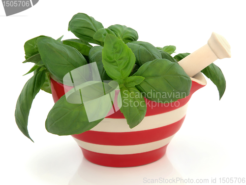 Image of Basil Herb  