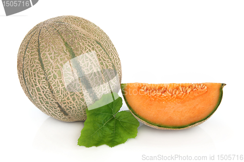 Image of Cantaloupe Melon