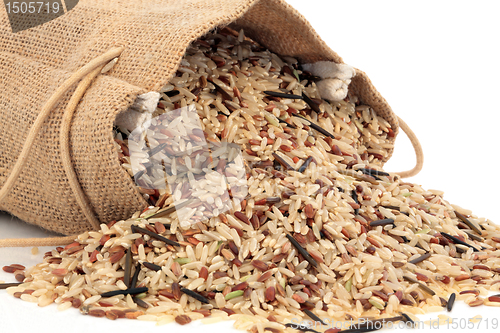 Image of Wild Rice