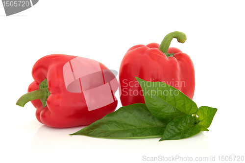 Image of Red Peppers