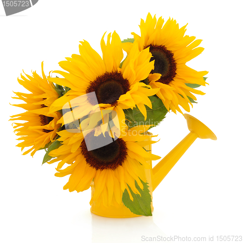 Image of Sunflowers