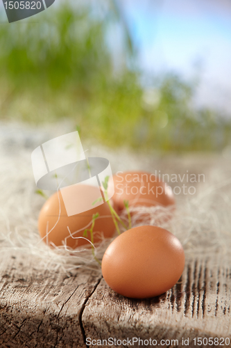 Image of fresh brown eggs