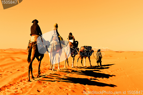 Image of Camel Caravan in the Sahara Desert