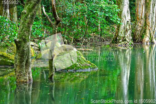 Image of lake with green tree
