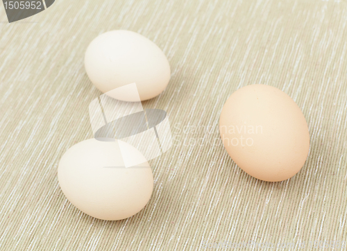 Image of eggs