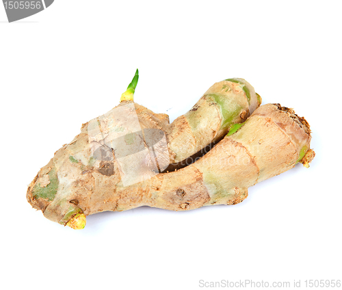 Image of ginger